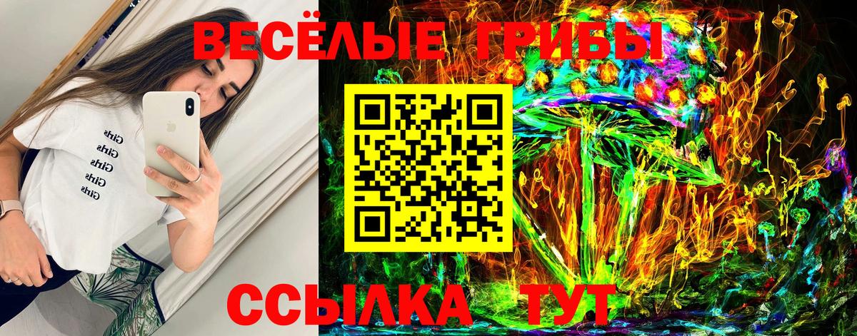 Ноябрьск  Псилоцибиновые грибы Psilocybine cubensis  Псилоцибиновые грибы Cubensis  Вход с VPN 