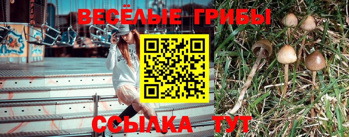 Галлюциногенные грибы мицелий Ноябрьск