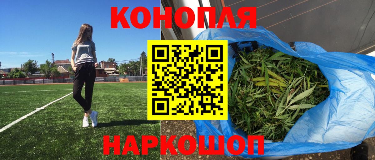Шишки марихуана план Ноябрьск